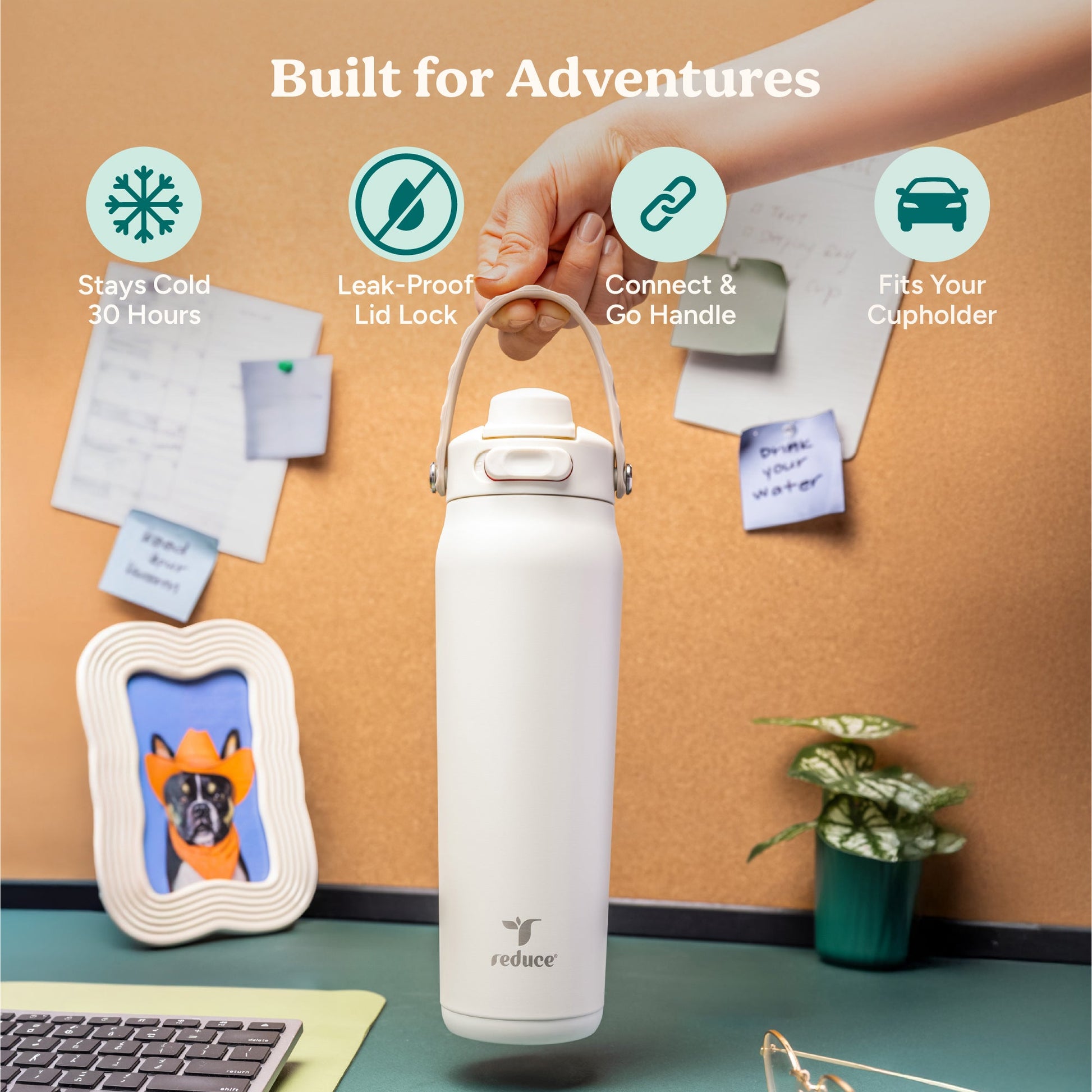 aura-26-oz-e2 Aura_26oz_Unbleached_PDP_Infographic_1.jpg