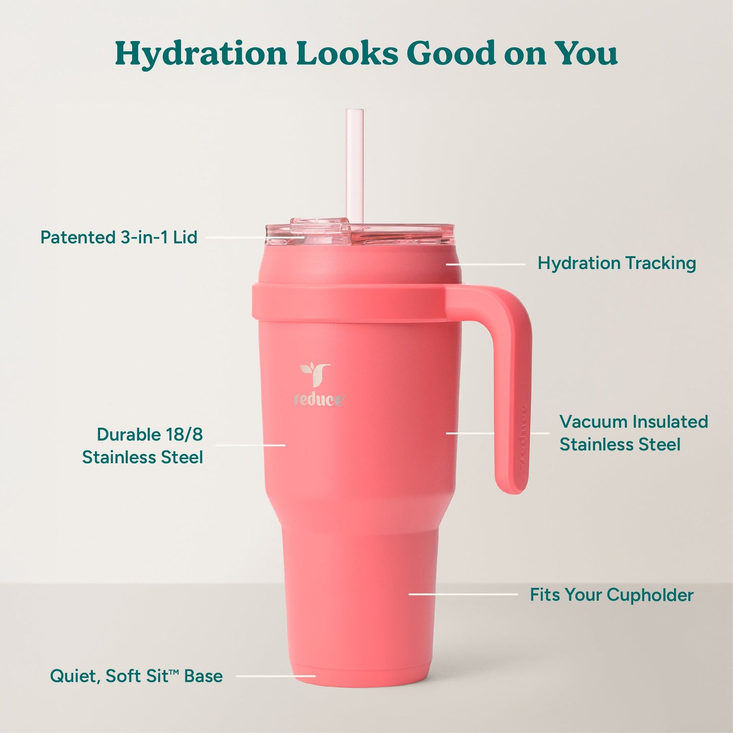 cold1-40-oz-a7 Cold1_40oz_Daiquiri_Infographic_2.jpg