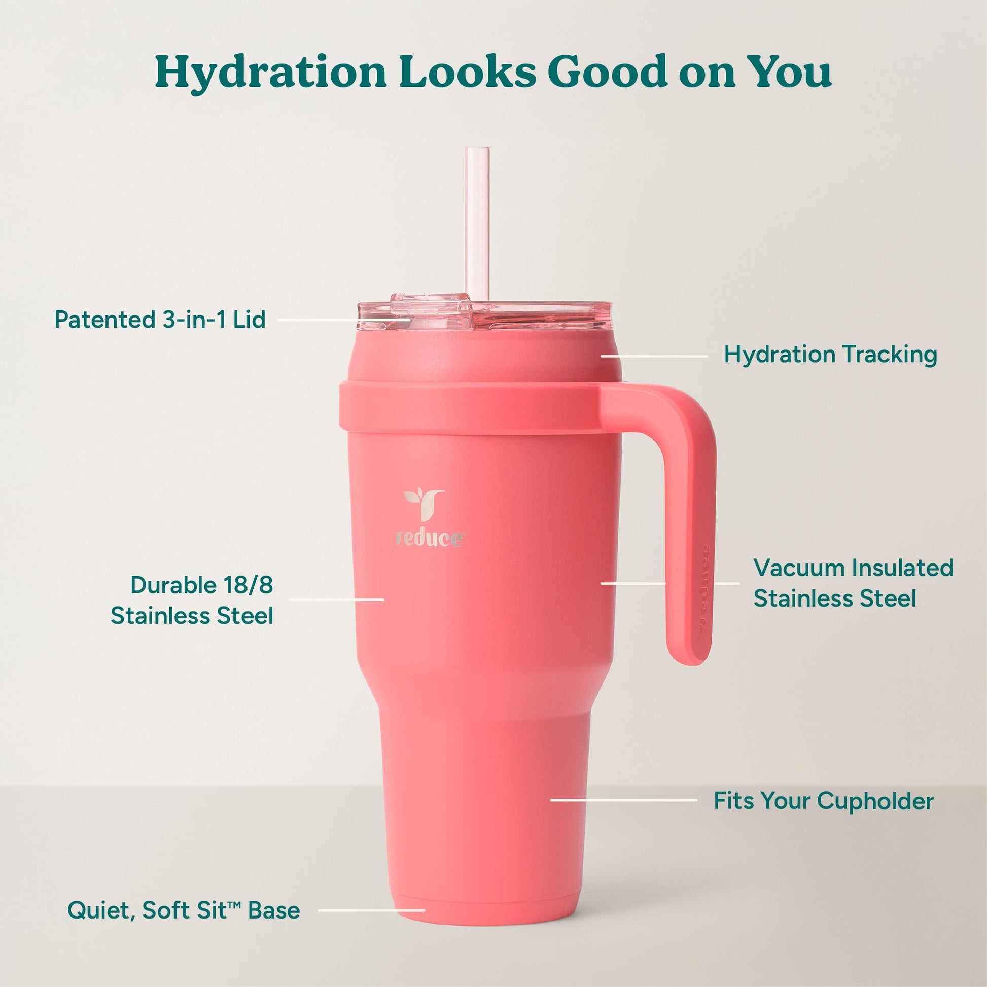 cold1-40-oz-a7 Cold1_40oz_Daiquiri_Infographic_2.jpg