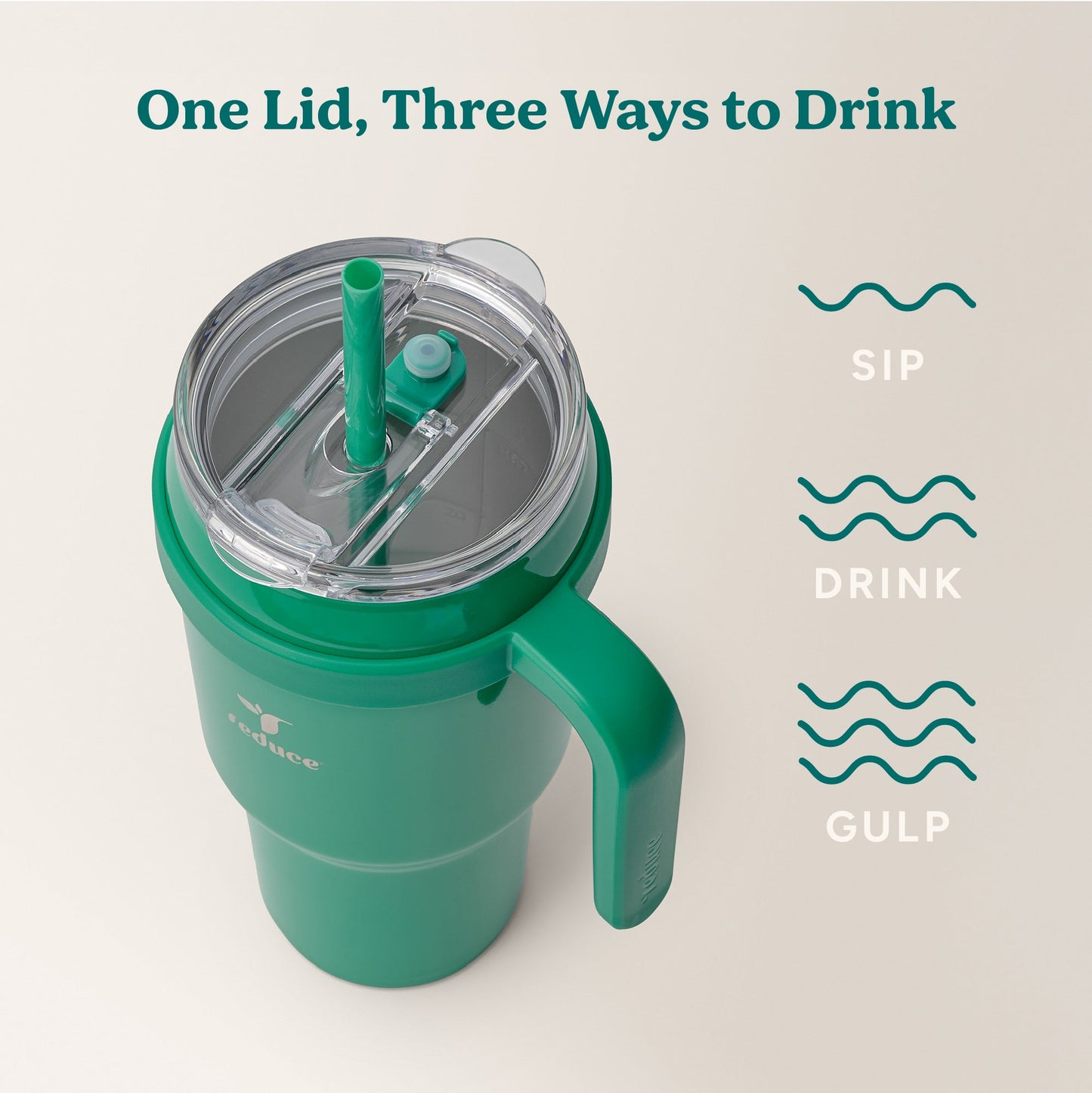 cold1-40-oz-a7 Cold1_40oz_PalmLeaf_Infographic_3.jpg