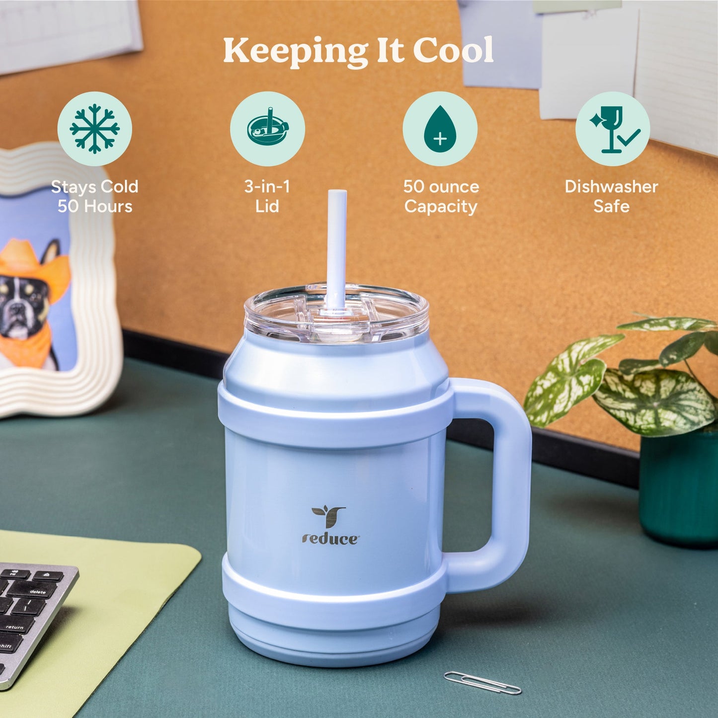 cold1-desktop-50-oz-s5 Cold1_50oz_Desktop_LilacBud_Infographic_1.jpg